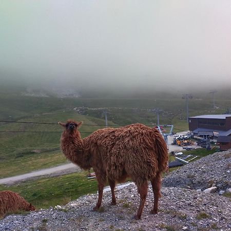 Le Petit Studio Du Tourmalet Pied Des Pistes - Ла-Монжі Екстер'єр фото