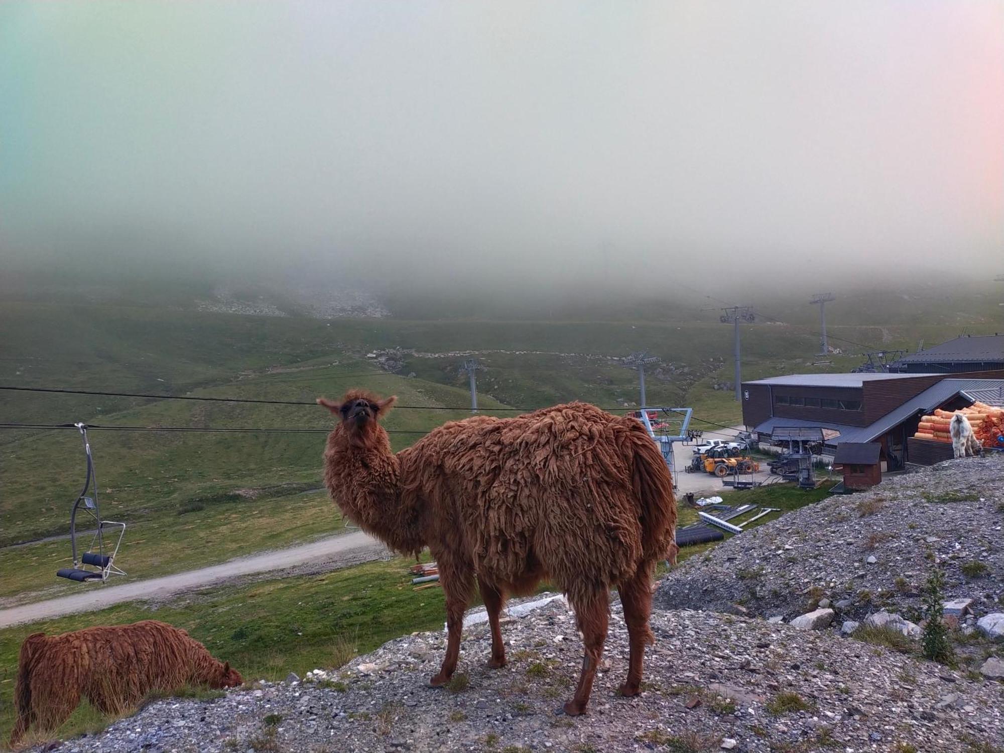 Le Petit Studio Du Tourmalet Pied Des Pistes - Ла-Монжі Екстер'єр фото
