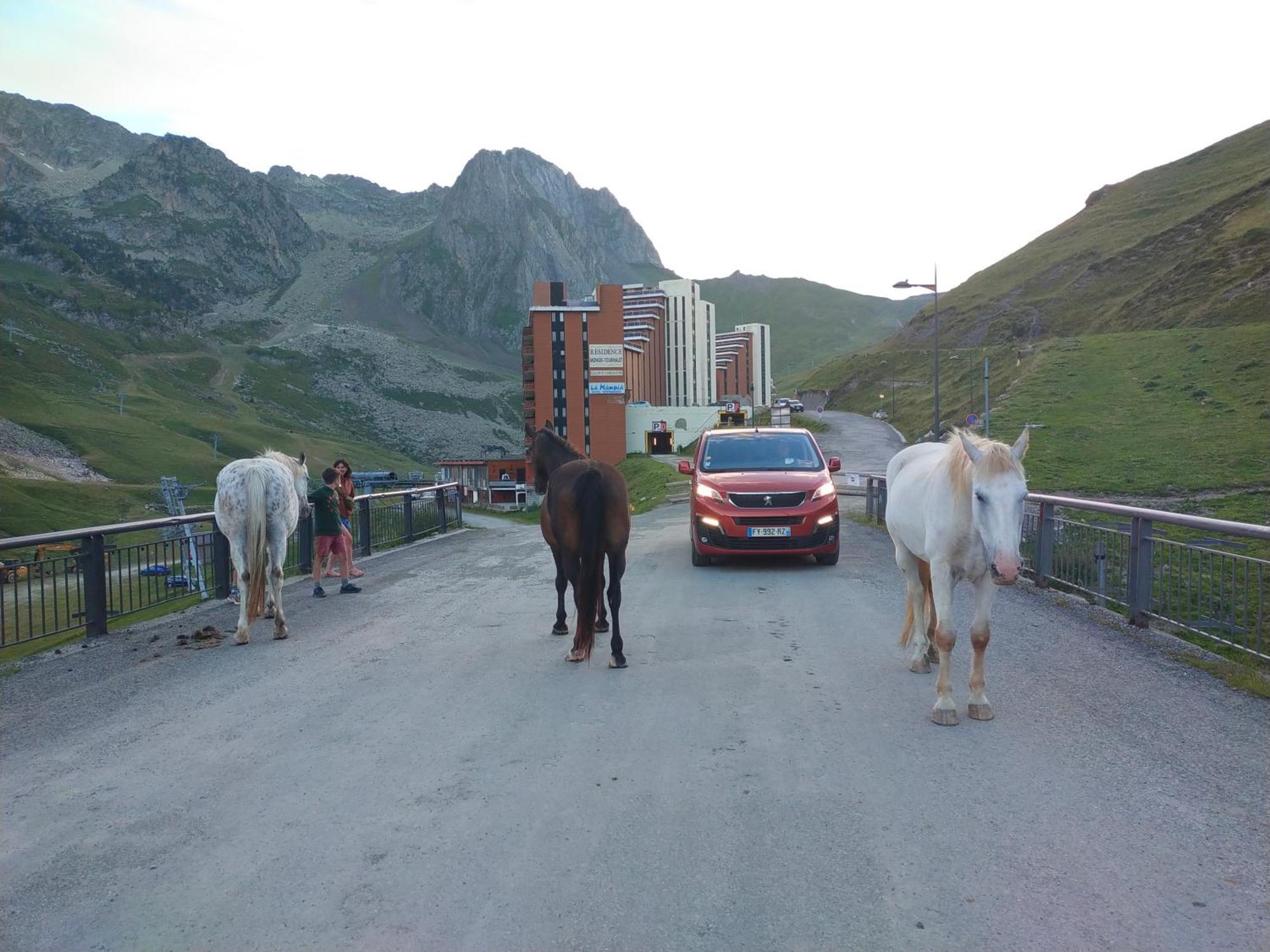 Le Petit Studio Du Tourmalet Pied Des Pistes - Ла-Монжі Екстер'єр фото