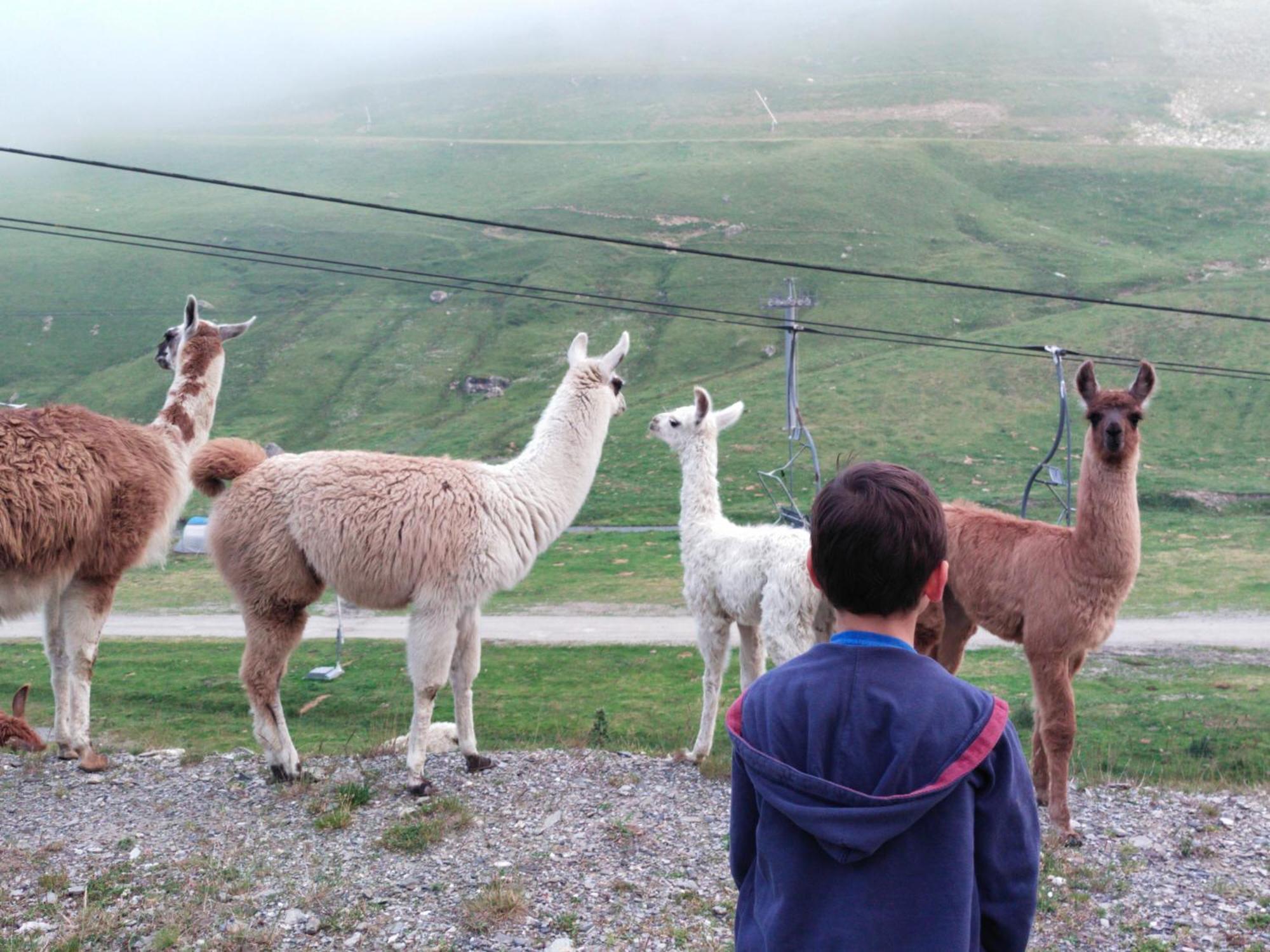 Le Petit Studio Du Tourmalet Pied Des Pistes - Ла-Монжі Екстер'єр фото